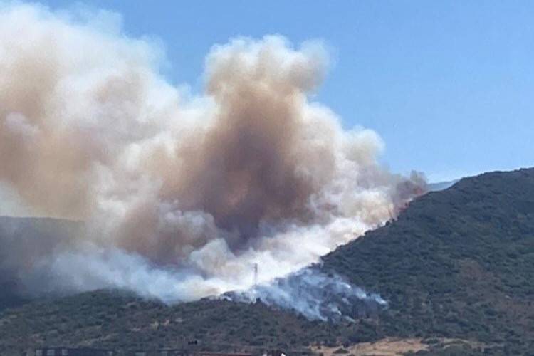 İzmir'deki orman yangını söndürüldü 18